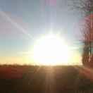 君49247的个人资料头像