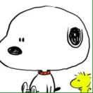 shfudbbs的个人资料头像