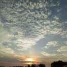 爱学习的个人资料头像