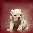 rain_tdk49319的个人资料头像