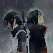 根号叁的个人资料头像