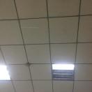 青衣就是我49411的个人资料头像