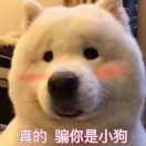 帝隐的个人资料头像