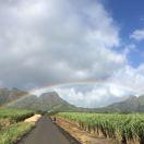 那些年少轻狂的个人资料头像