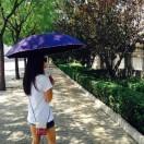 娜娜同志49500的个人资料头像