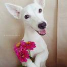 啊啊啊天然的个人资料头像