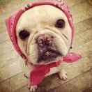 黄华侨的个人资料头像