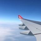 gardenerlee的个人资料头像