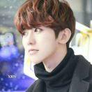 苹果先生的个人资料头像