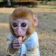 T7T的个人资料头像