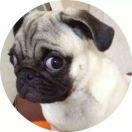 温柔的毒药的个人资料头像