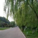 gaozw的个人资料头像