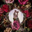 图图君49639的个人资料头像