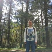 oneapp1e的个人资料头像