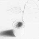 三秋在掘金的个人资料头像