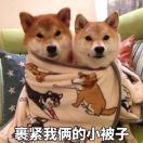 田力凯的个人资料头像