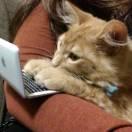 杜文斌的个人资料头像