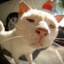 酱49745的个人资料头像