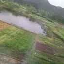 上善若水本尊49753的个人资料头像