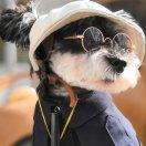 追时光的ant先生的个人资料头像