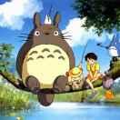 张钧星的个人资料头像