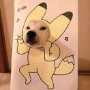 CCCCCCCCCCCCCC的个人资料头像