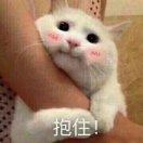 ym在掘金49884的个人资料头像