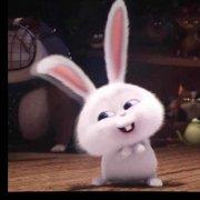 微__wei的个人资料头像