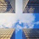 乱世佳人的个人资料头像