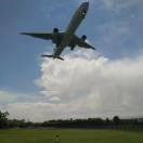 sunny君50082的个人资料头像