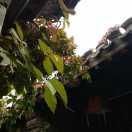 张盼威的个人资料头像