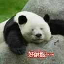 红雨的个人资料头像