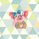 Alina爱学习的个人资料头像