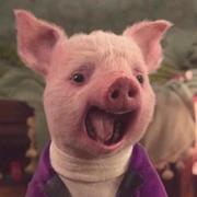 dbq4130的个人资料头像