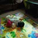 龙予展的个人资料头像