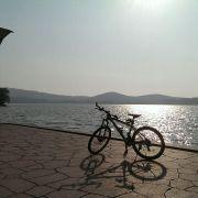 alive0809的个人资料头像