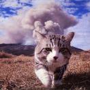 于良大坤的个人资料头像