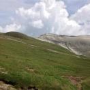 alex君50344的个人资料头像