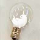 森酱50362的个人资料头像