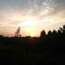 久旋周的个人资料头像