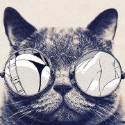 灬乌尔奇奥拉灬的个人资料头像