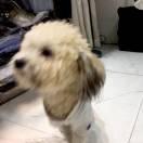 两份肥牛谢谢的个人资料头像