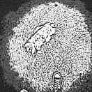 皮不想说话的个人资料头像