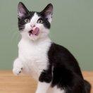 杰重名了50533的个人资料头像