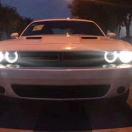 鹿哥的个人资料头像