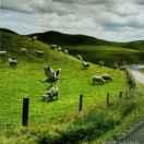 炎炎夏日爱学习的个人资料头像