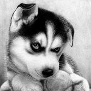 yaotaiye的个人资料头像