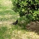 RatwIZ的个人资料头像