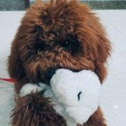 Mister_Ch的个人资料头像