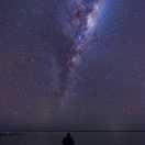 喵自助的个人资料头像